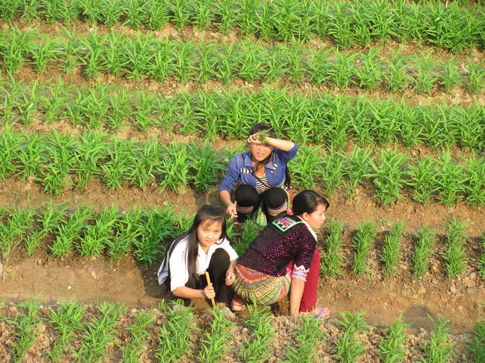 29570463 233442993898246 5275807290262161060 n