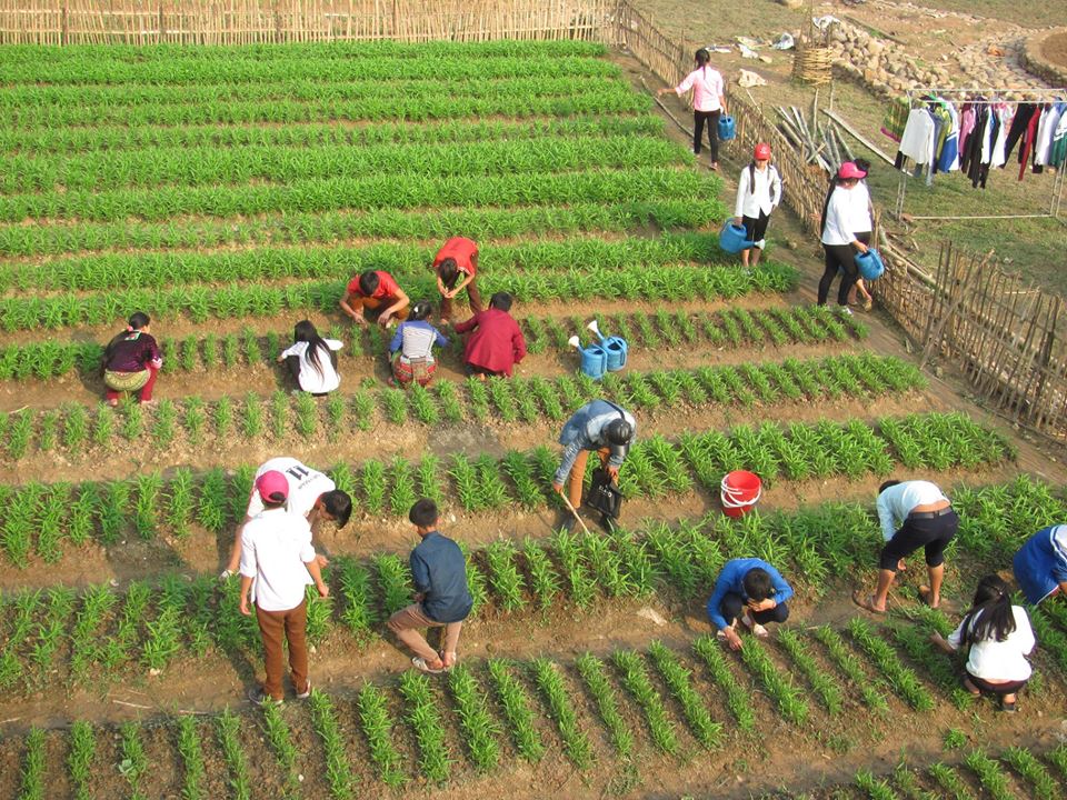 29594656 233442523898293 796698472492310069 n