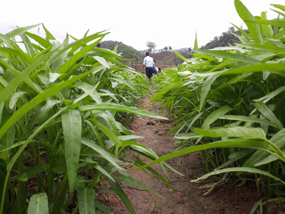 30623678 355922094894334 1900604675808296960 n