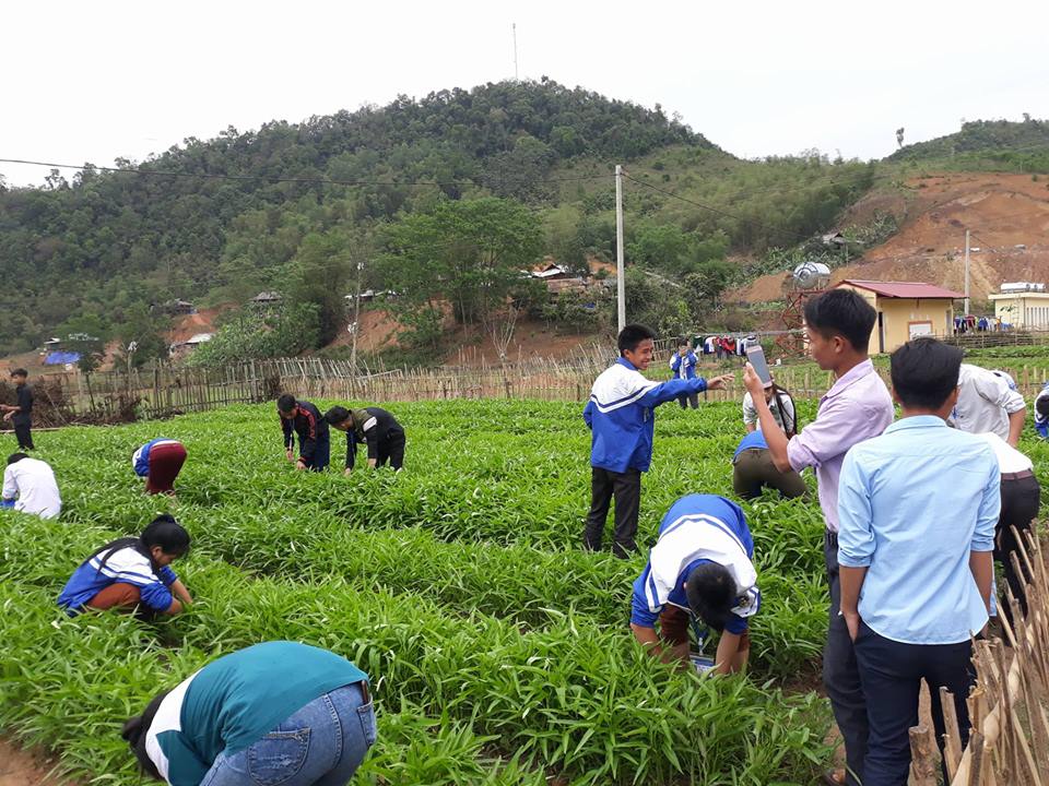 30629336 355922218227655 7098618030095073280 n