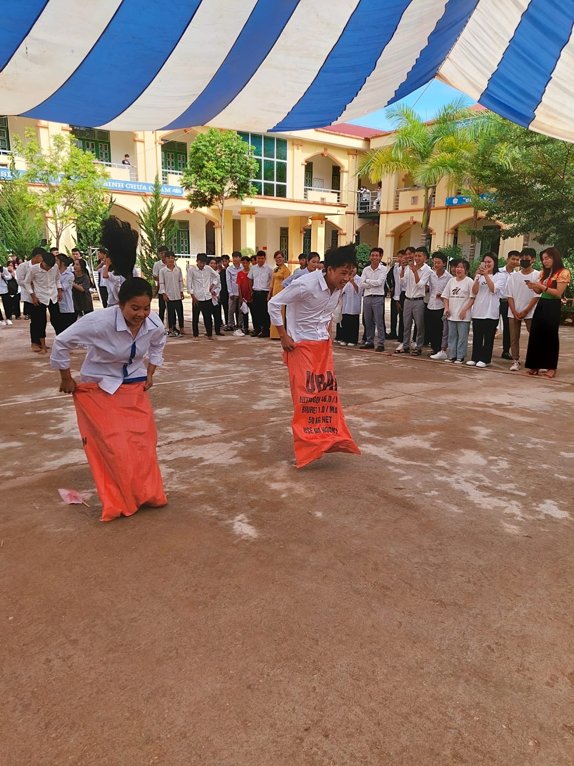 305447757 2449538268521473 4559911340074002366 n